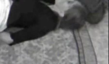 Cô gái chèn mông phim sec bo va con gai cắm và máy rung có gân