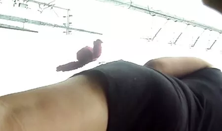 Sexy tóc vàng lượt với to và miệng trên một đứng tinh ranh phim sec loan luan ko che