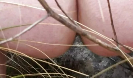 Trưởng thành đen tóc đĩ hút to lớn cocks phin sec loan luan trong gangbang