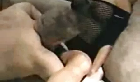 Hung hăng Latin phim secloan luân chó cái chủ động chị trong giường với cô ấy người yêu